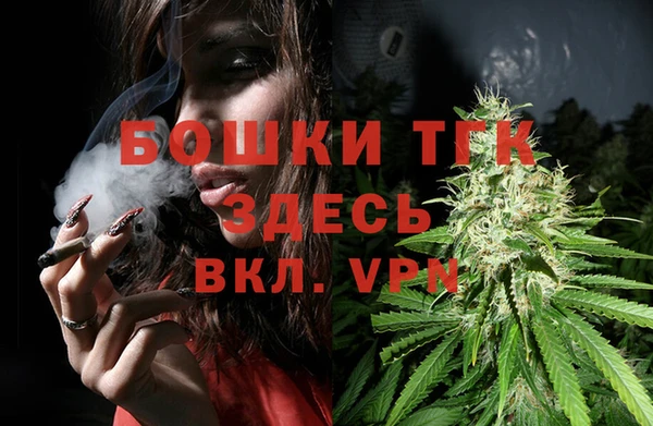 Альфа ПВП Корсаков