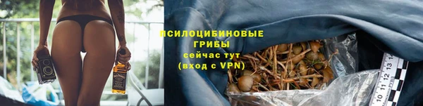 Альфа ПВП Корсаков