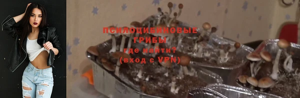 спиды Коряжма