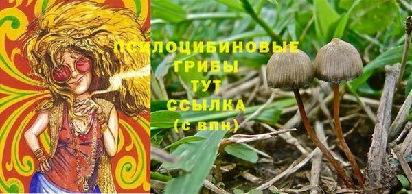 Альфа ПВП Корсаков