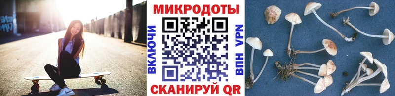 Галлюциногенные грибы Cubensis  Купить  Нововоронеж 