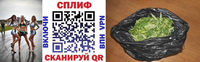 Купить закладки  Нововоронеж  Канабис AK-47 